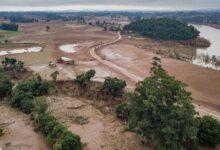 CMN prorroga renegociações de crédito rural no Rio Grande do Sul