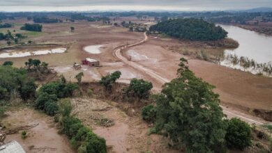 CMN prorroga renegociações de crédito rural no Rio Grande do Sul